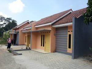 20150716 110533 300x225