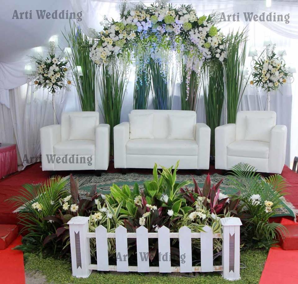 14656240 1711121279212233 6198147858451758733 n