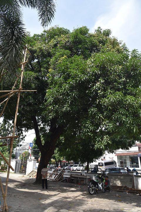 14707902 677434925745348 5138462945258654322 o