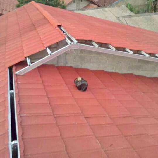 Fb img 147887610819146871479062804413