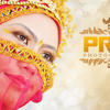 Sejasa.com