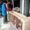 Sejasa.com