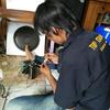 Sejasa.com