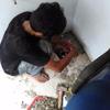 Sejasa.com