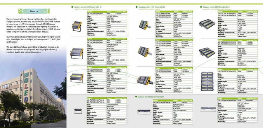 2016 rayshine led lights 01