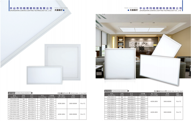 Panel light