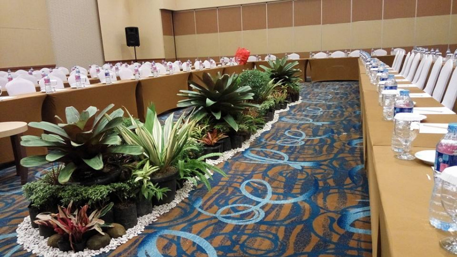 16640700 392513121110351 8530619725180466966 n