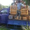 Sejasa.com