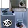 Sejasa.com