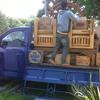 Sejasa.com