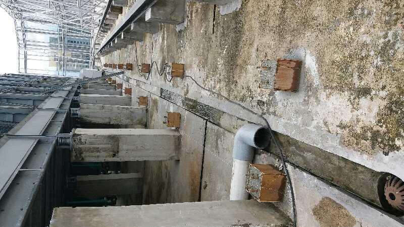 20170203 1509021490218263081