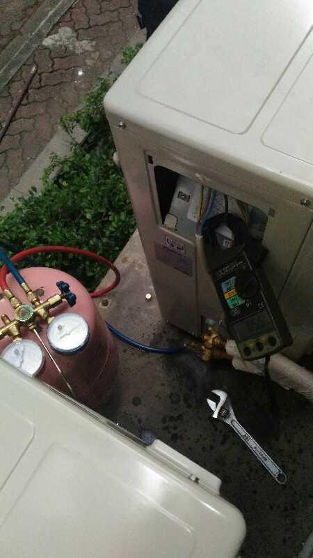 P 20161210 1224151490509628033