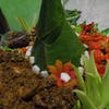 Sejasa.com