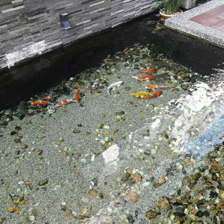 Img 20170401 211505 1981491273564191