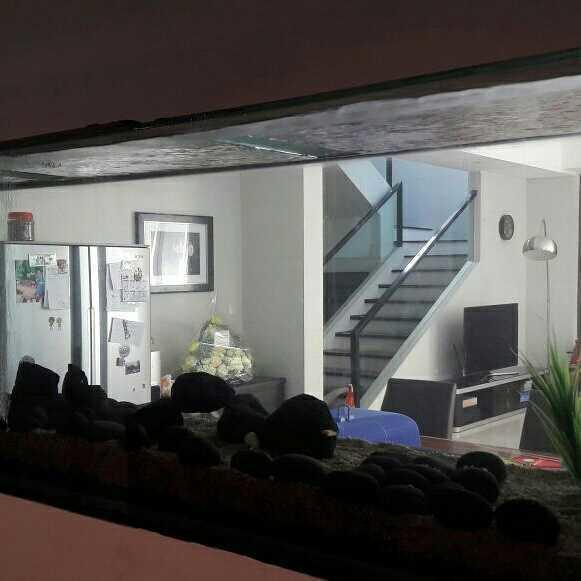 Img 20170304 124058 4321491273564329