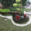 Sejasa.com