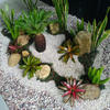 Sejasa.com