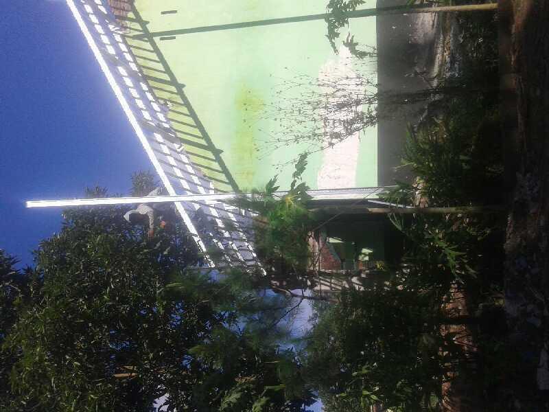 20170217 0828131493276629595