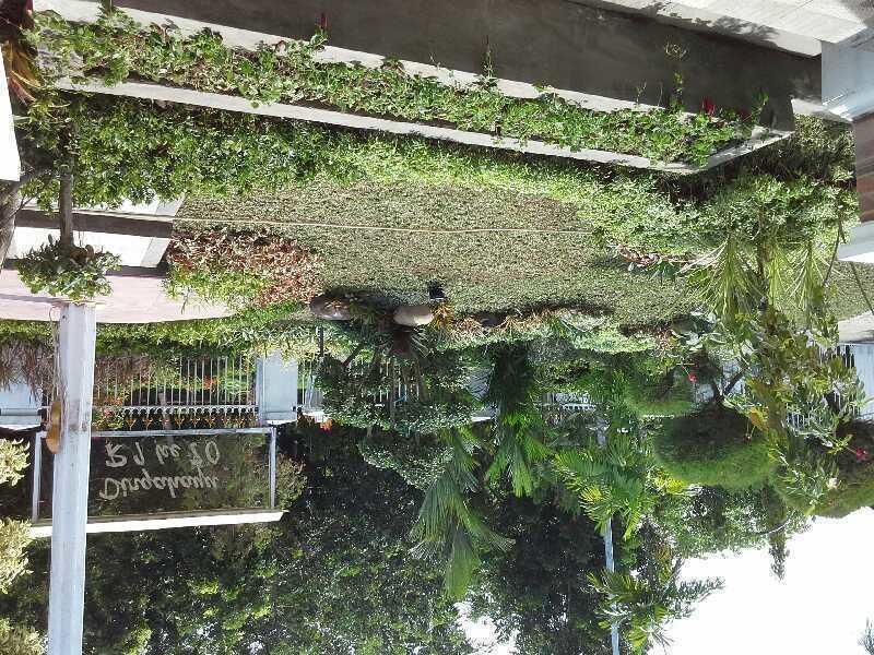 20161201 1037101494003833016