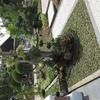 Sejasa.com