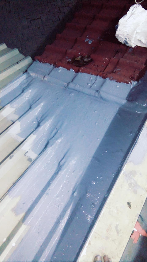 Beautyplus 20170406020654 fast