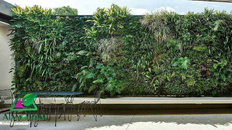 Vertical garden wall oct15 20151211173019 q75 dx1920y u1r1g0 c  1494874813036