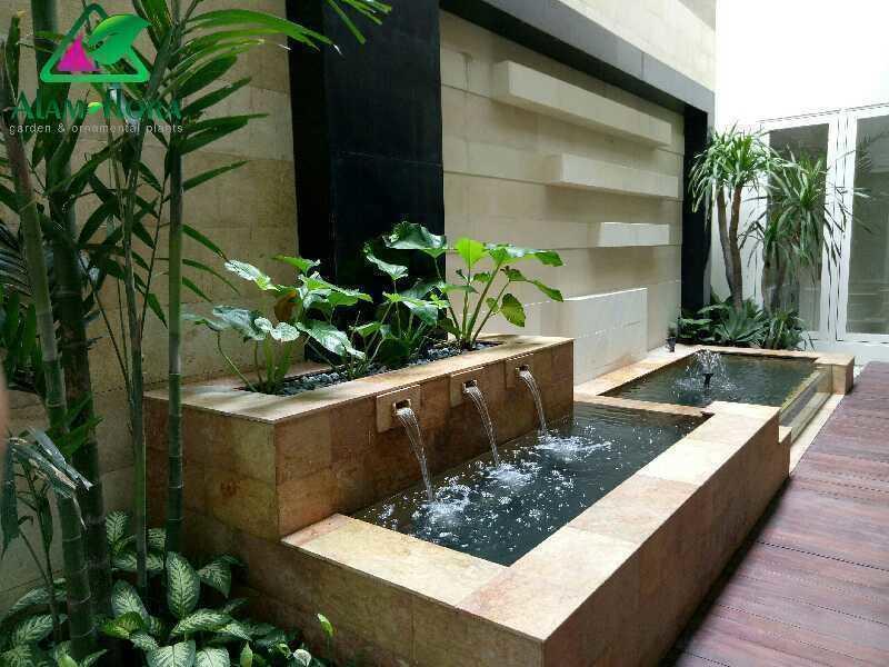 Img201612020909011494874929171