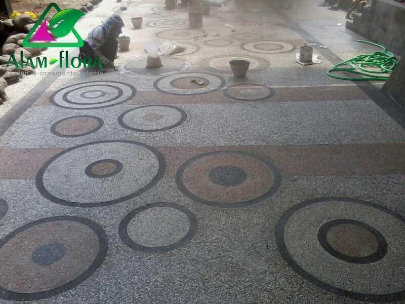 Foto 0192 1 1494875032309