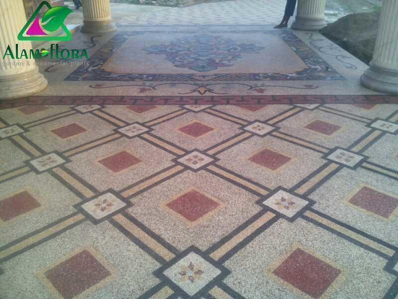 Img 20160830 1704061494875032703