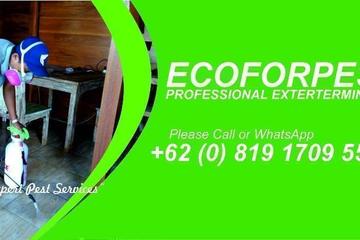 Pest Control Bali 081917095580