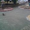 Sejasa.com