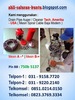 Thumb tukang 2 pipa saluran buntu mampet wastafel talang sink wc bath tub tandon ledeng bak kontrol toilet kamar mandi drain cleaner surabaya sidoarjo gresik
