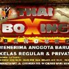 Sejasa.com