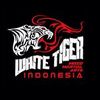 Sejasa.com