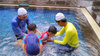 Sejasa.com