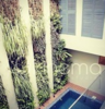 GreenwoodsHomes