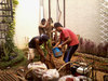 Sejasa.com