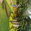 Sejasa.com
