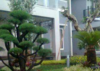 Sejasa.com
