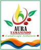 Sejasa.com