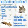 Sejasa.com