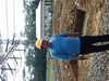 Sejasa.com