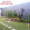 Sejasa.com