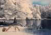 Sejasa.com