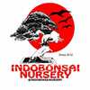 Sejasa.com
