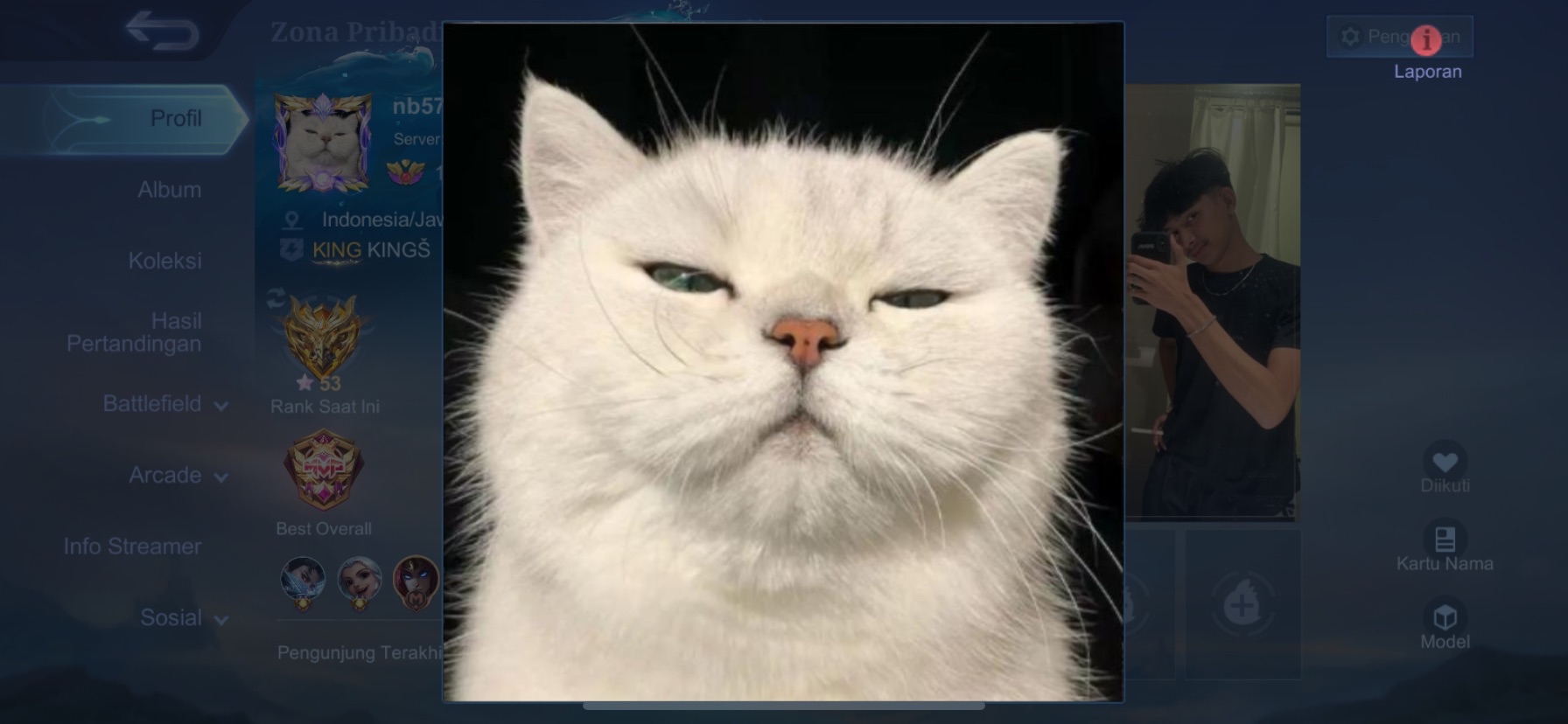 profile user