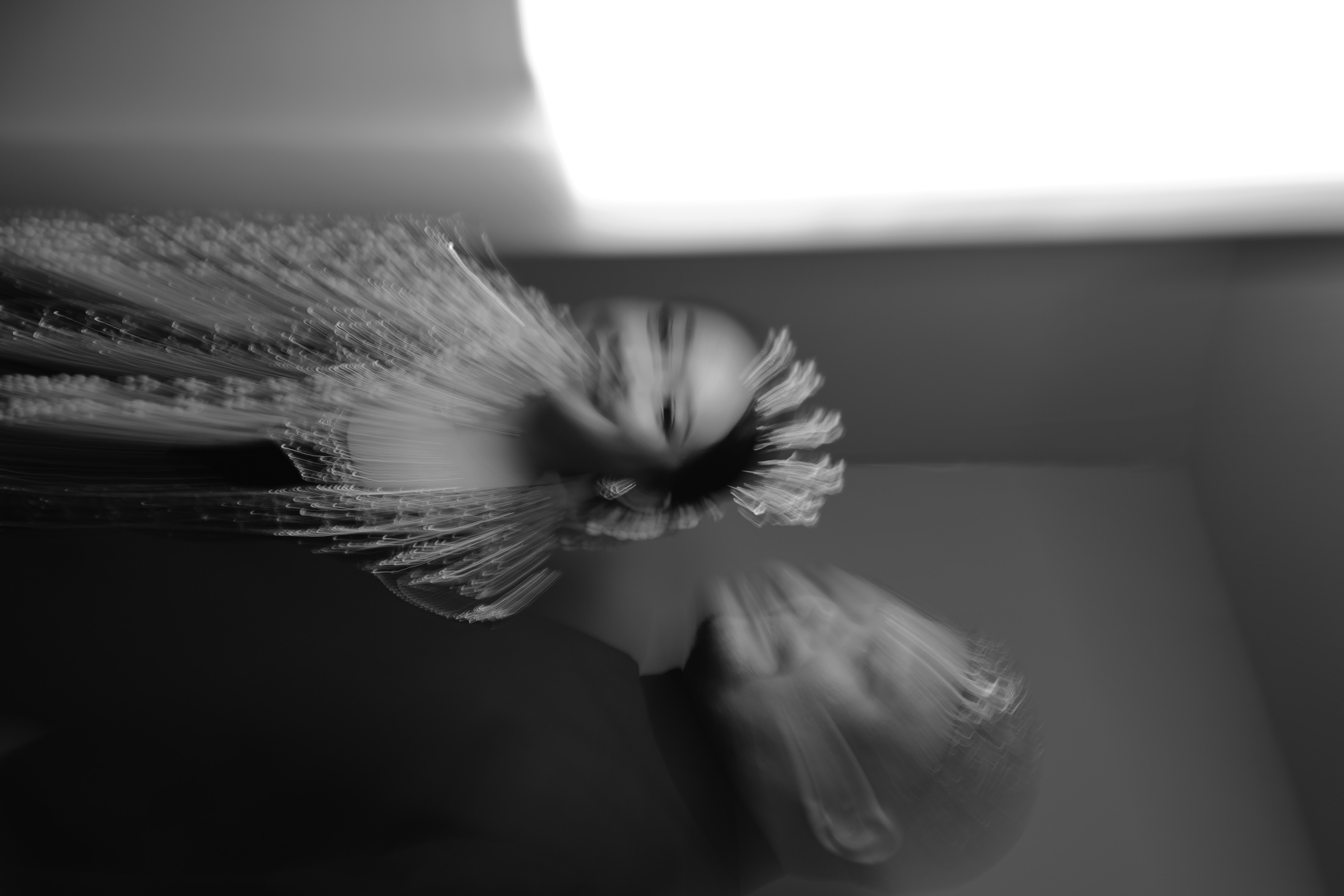 profile user
