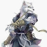 profile user